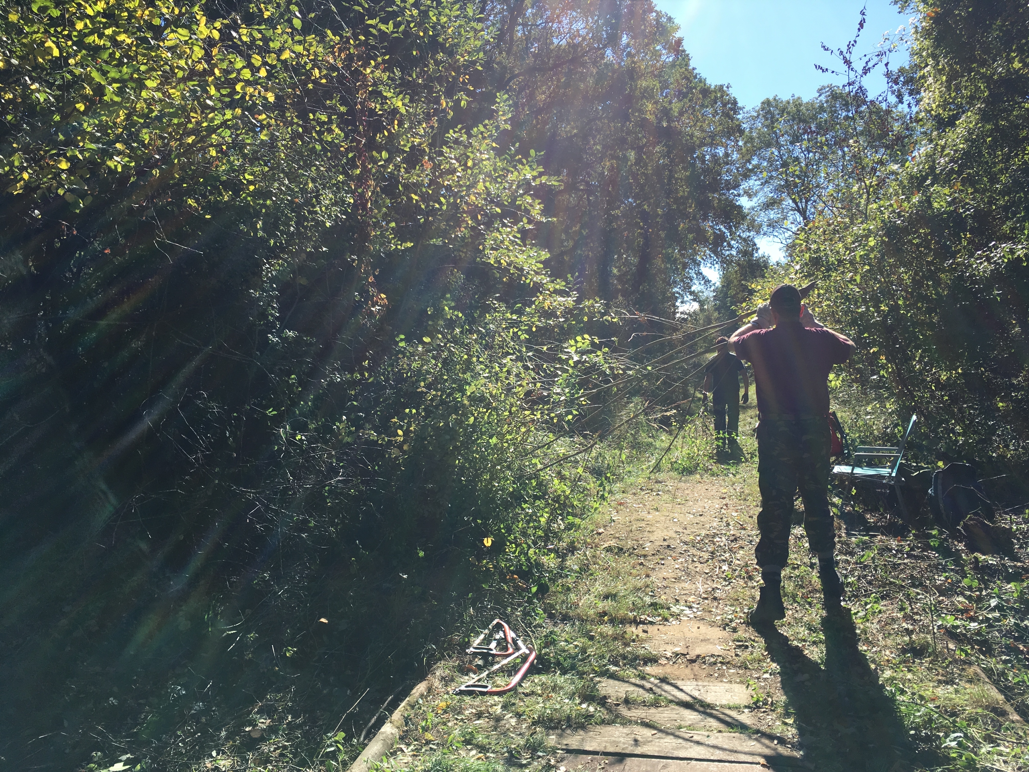 Ancient woodland, open grassland and overgrown scrub areas, and a few ponds. (Peterborough, Cambridgeshire)